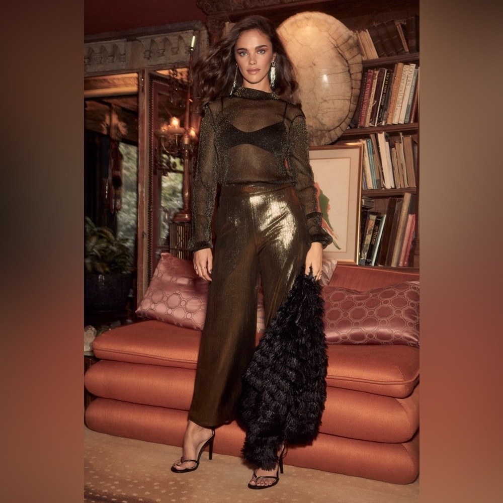 Gold and Black Sheer Long Sleeve Top
